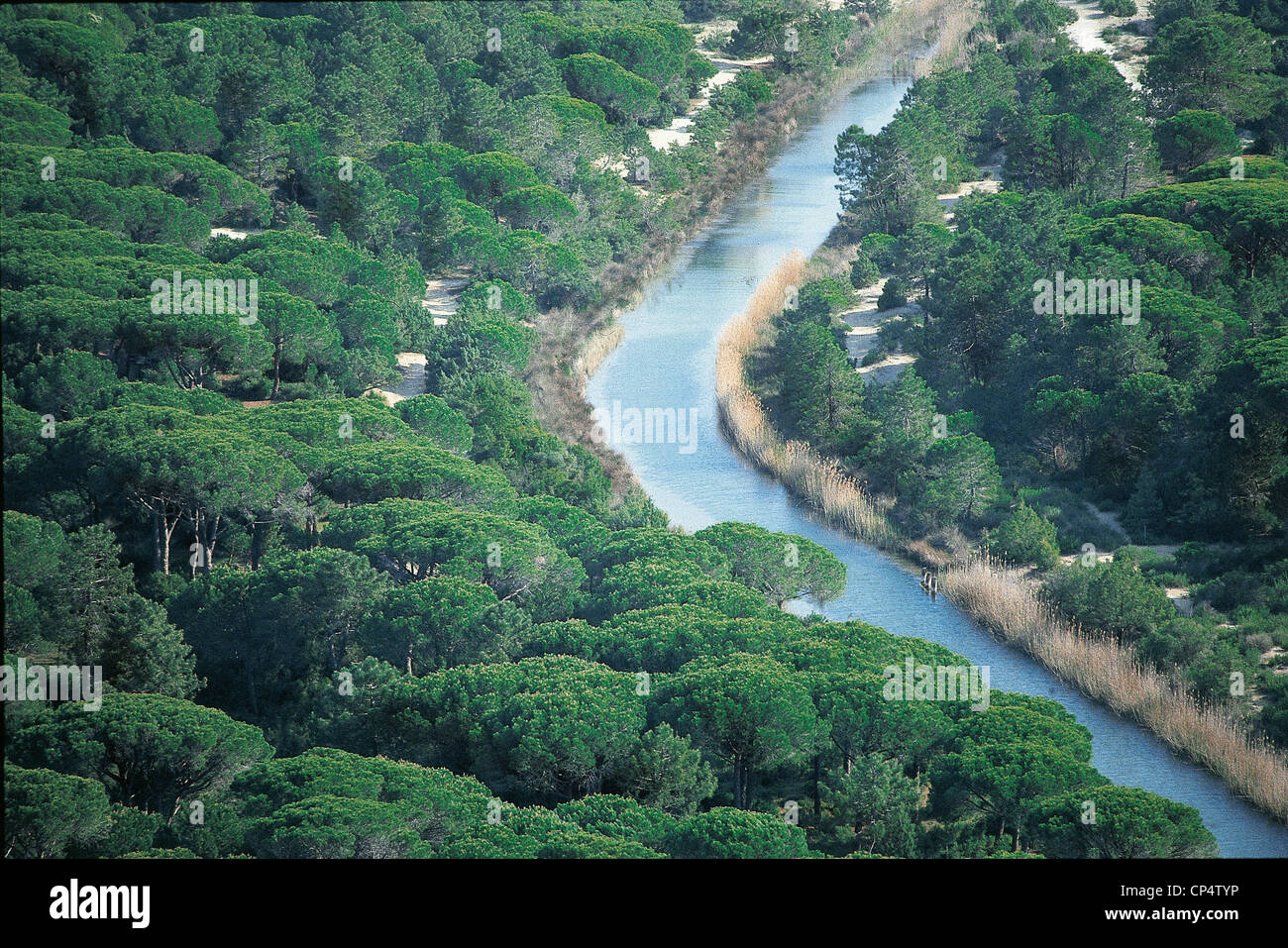 Toskana Maremma natürlichen Park Bereich UCCELLINA Kanäle Stockfoto