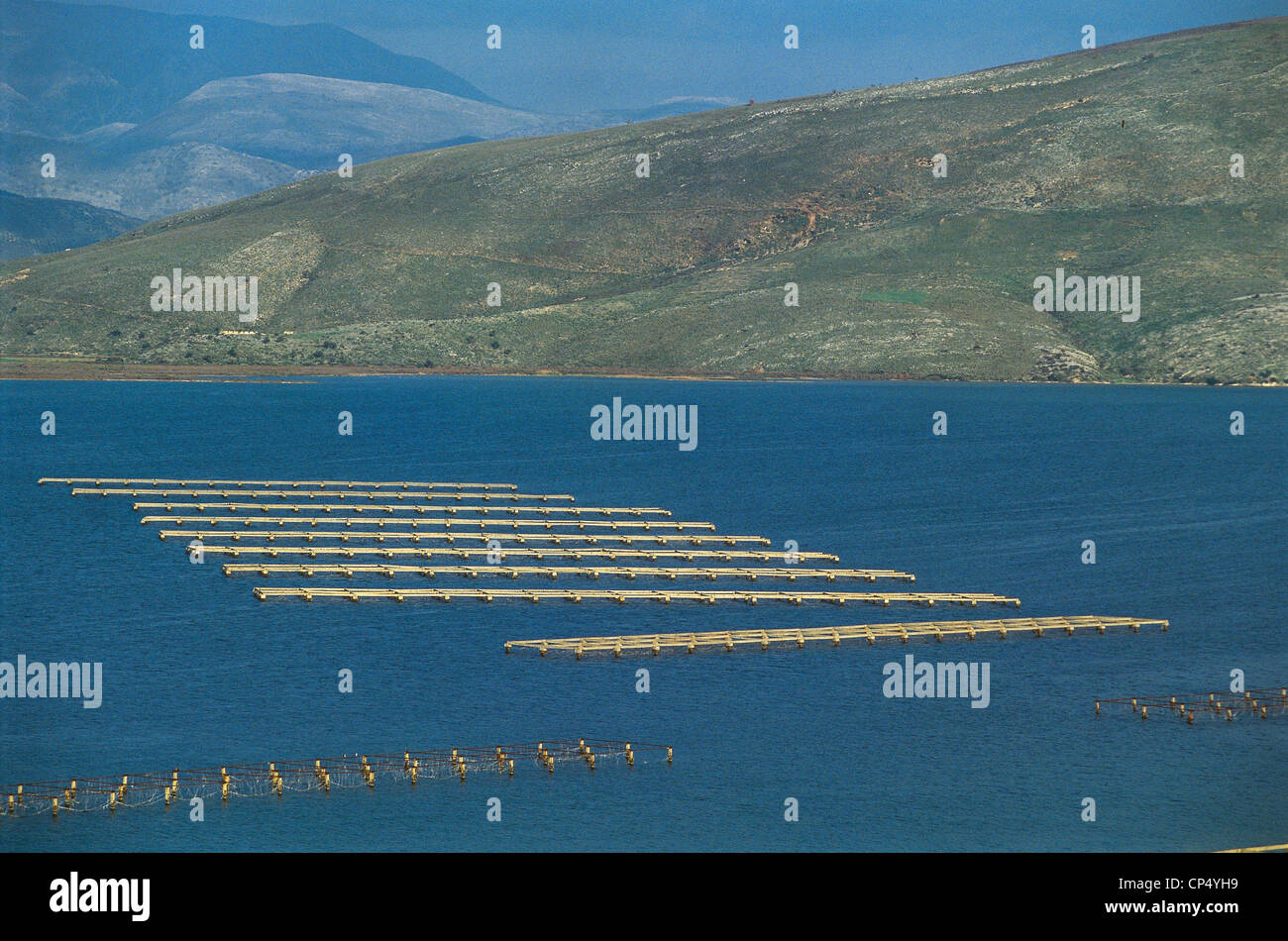 Albanien - Lake Butrint, Anbau von Muscheln. Stockfoto