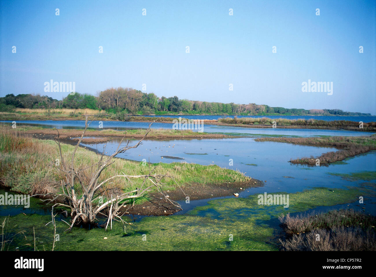 Lazio Circeo National Park PANTANI Hölle Sumpf Stockfoto