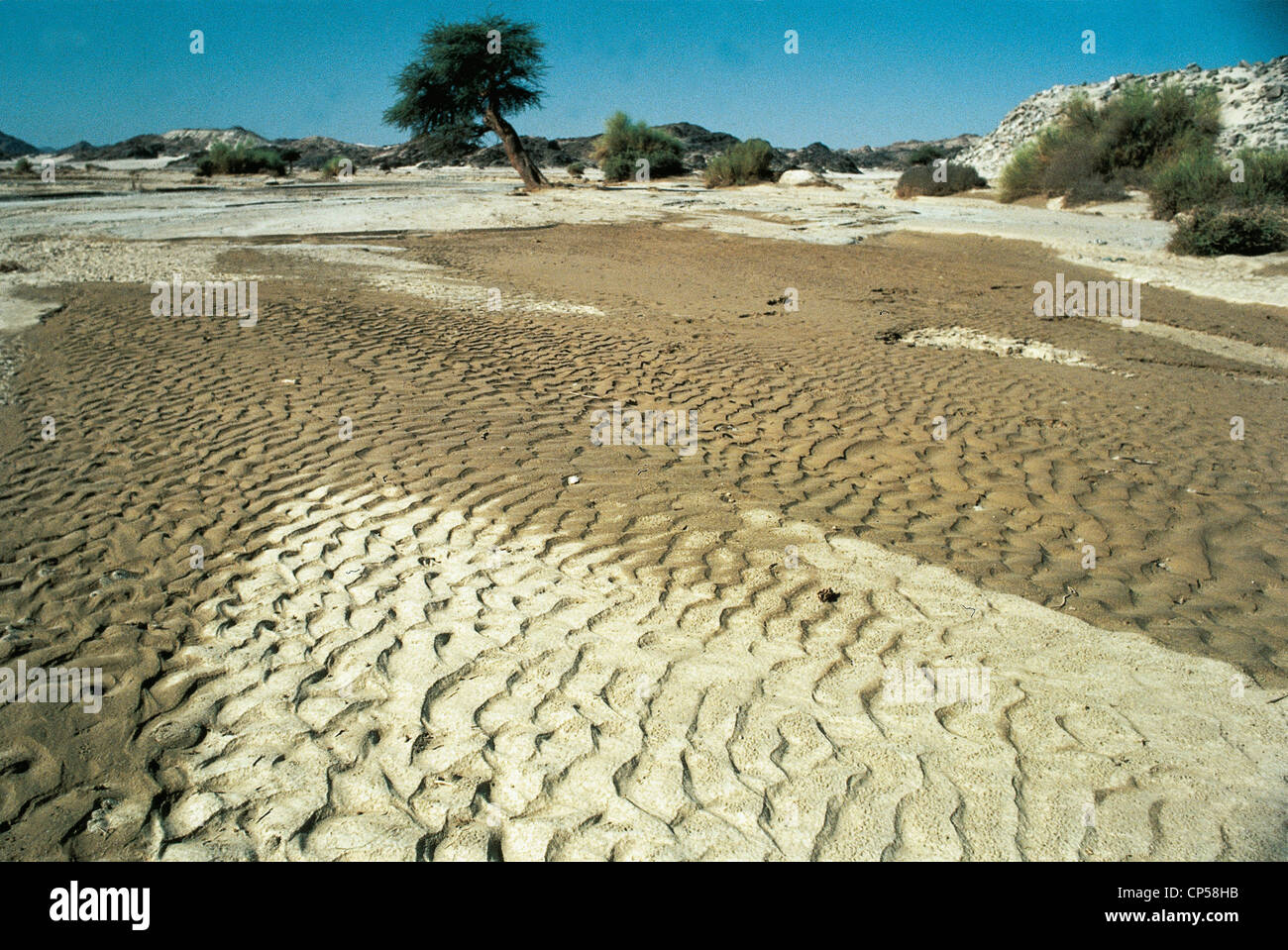 Sudan - Nubische Wüste Spuren von Wasser "anzuzeigen, dass einen Wasser-Tisch. Stockfoto