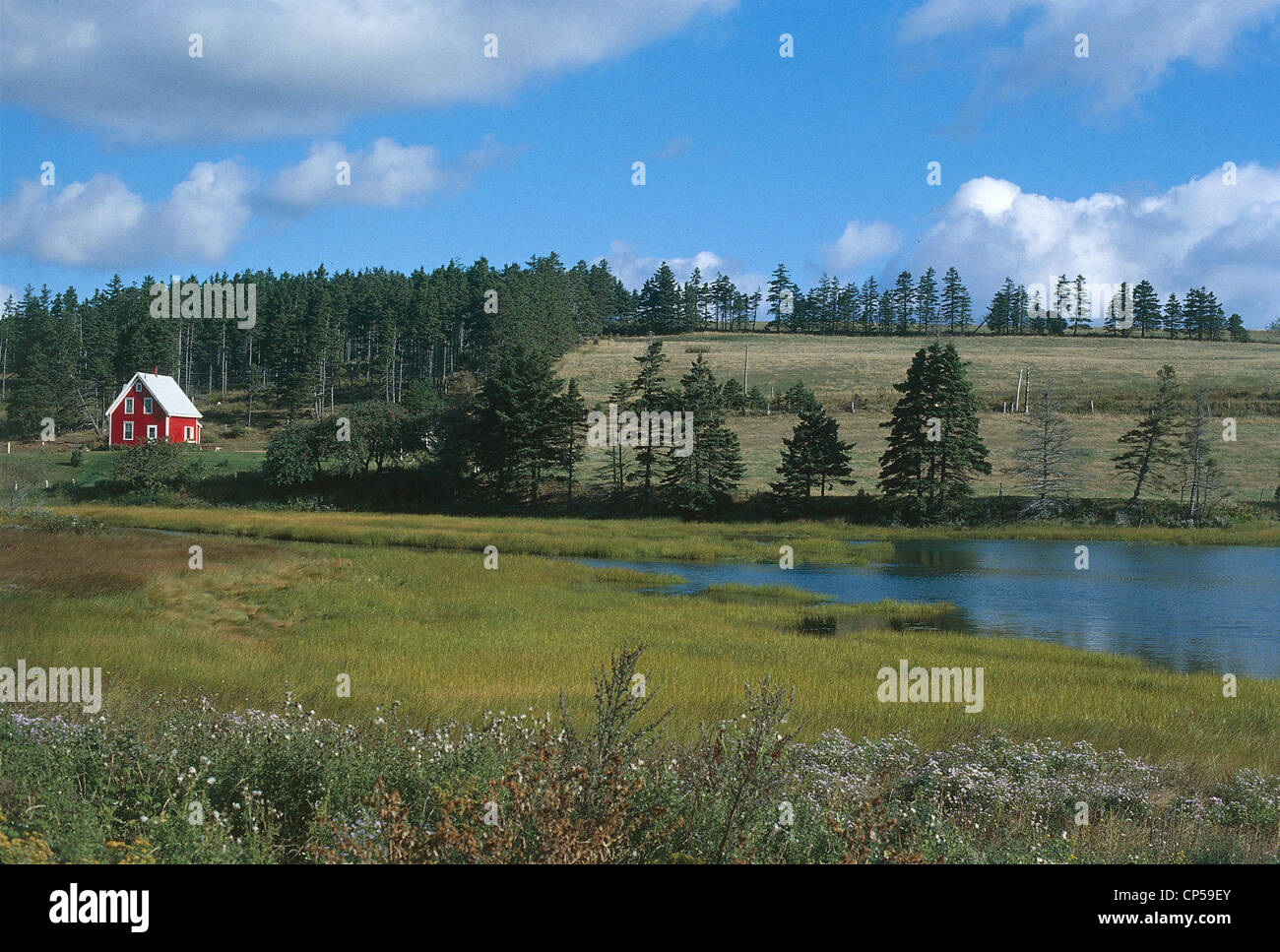 Canada - Prince Edward Island - ein Haus in der Nähe von einem Teich. Stockfoto