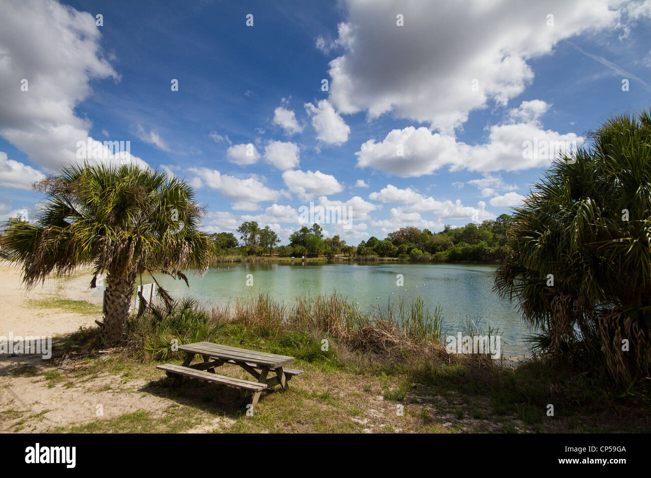 Oscar Scherer State Park - Osprey See - Florida Stockfoto