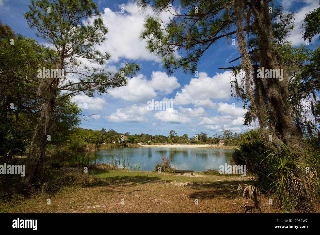 Oscar Scherer State Park - Osprey See - Florida Stockfoto