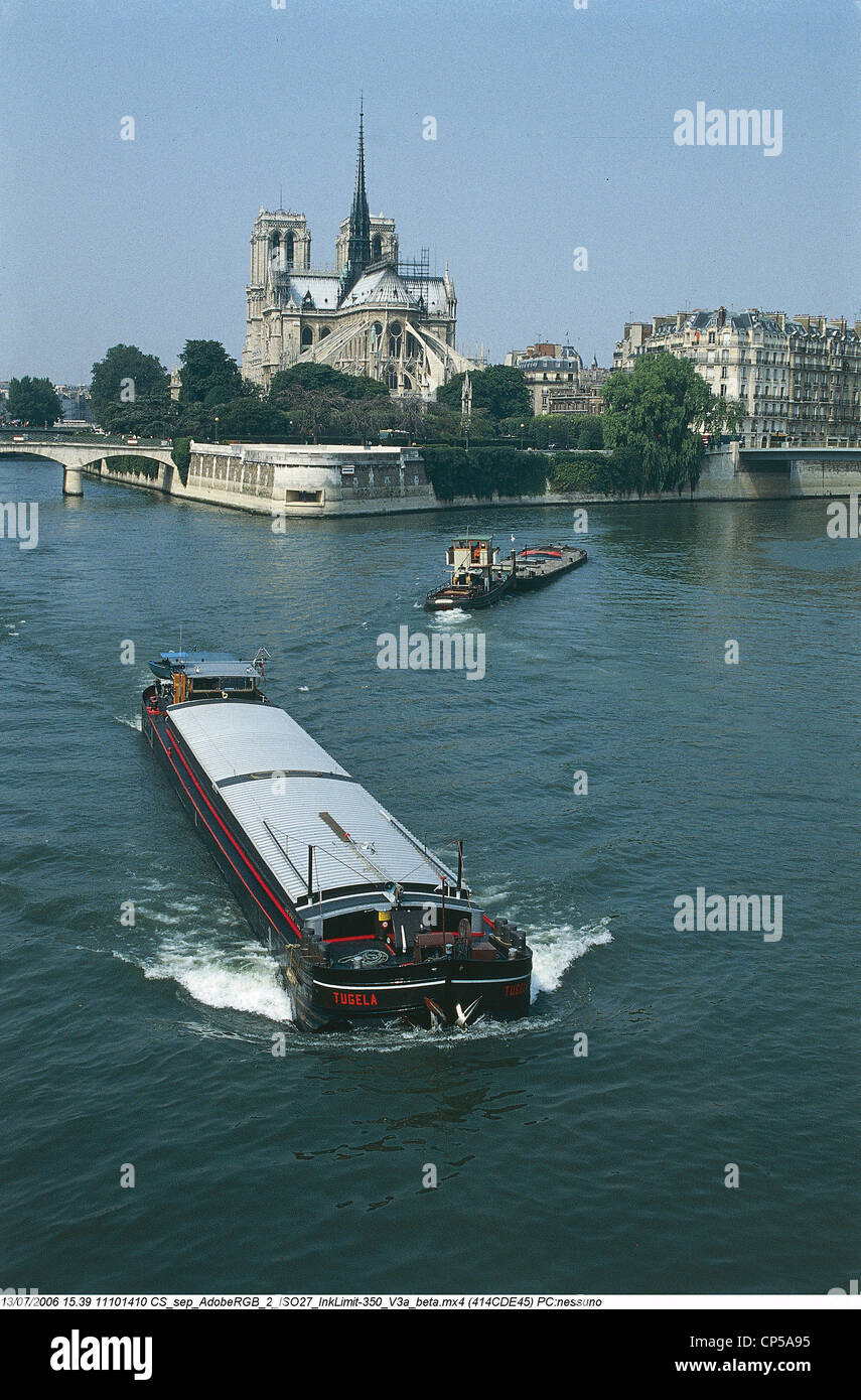 Frankreich - Paris. Fluss Seine Bateau Mouche, Ile De La Cité und der Notre Dame Stockfoto