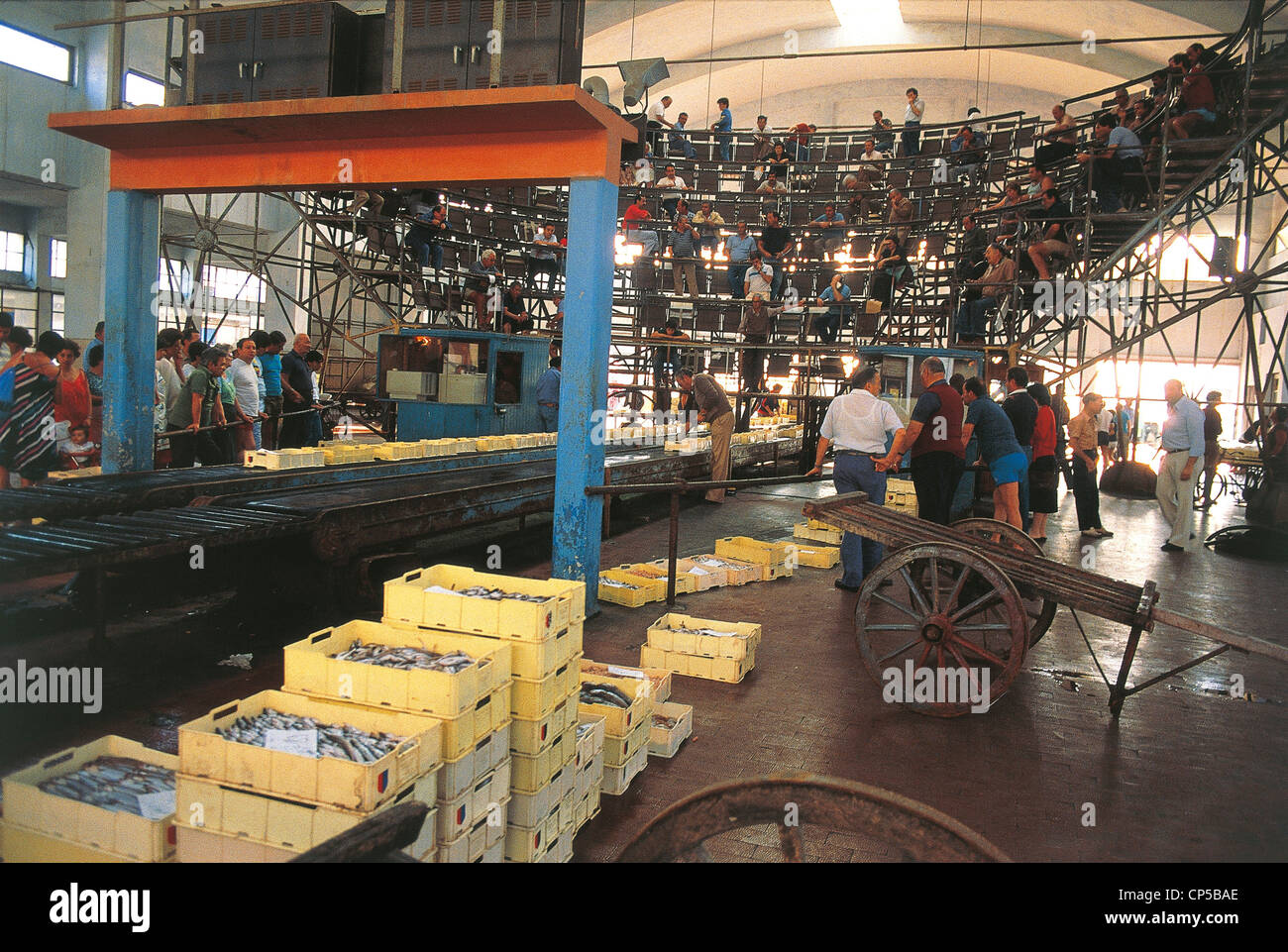San Benedetto Del Tronto Marche Fischmarkt Stockfoto