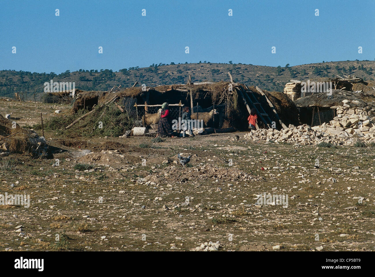 Algerien - Around Tebessa - Beduinen-Camp. Stockfoto