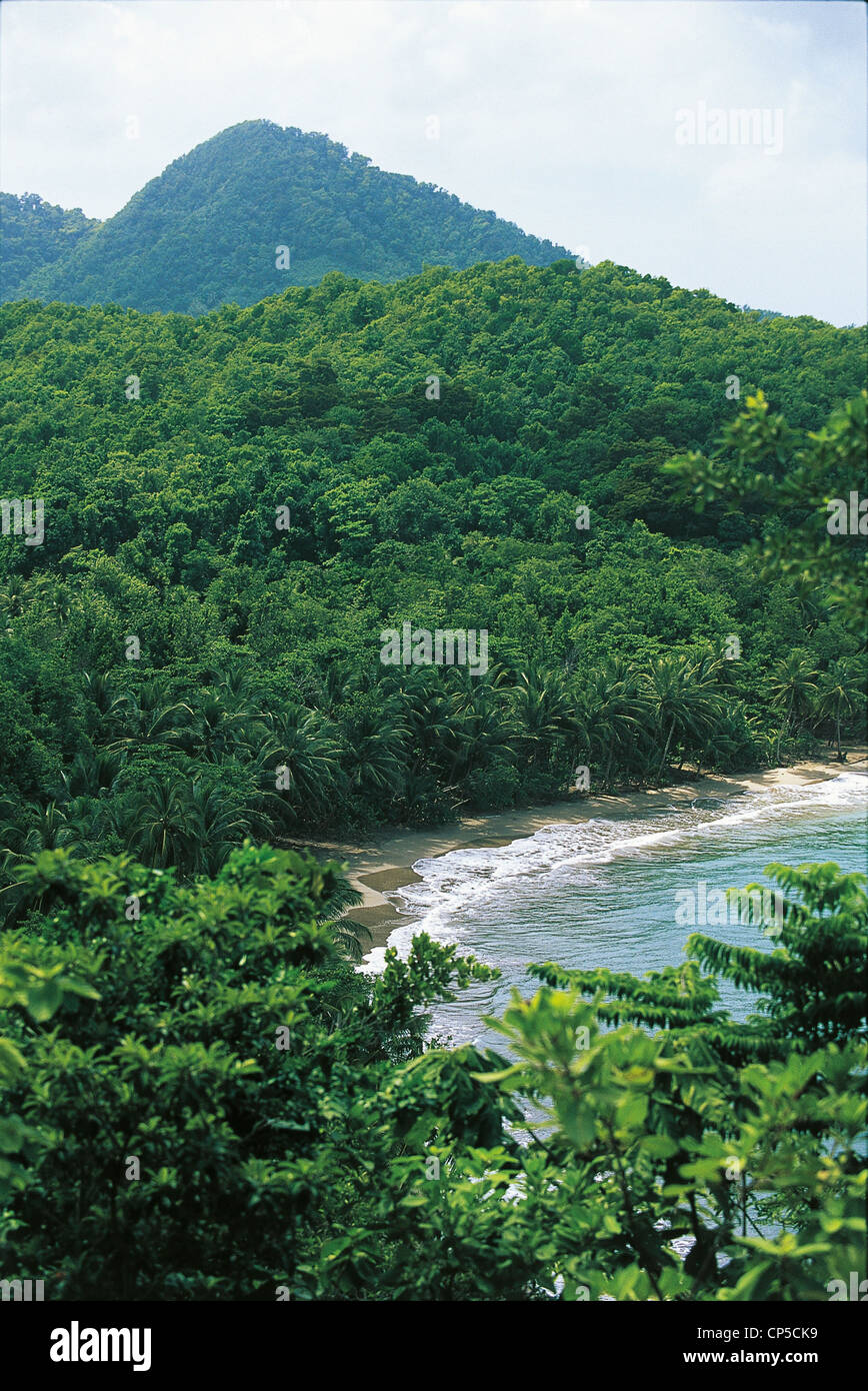 Dominica Strand Hampstead Stockfoto