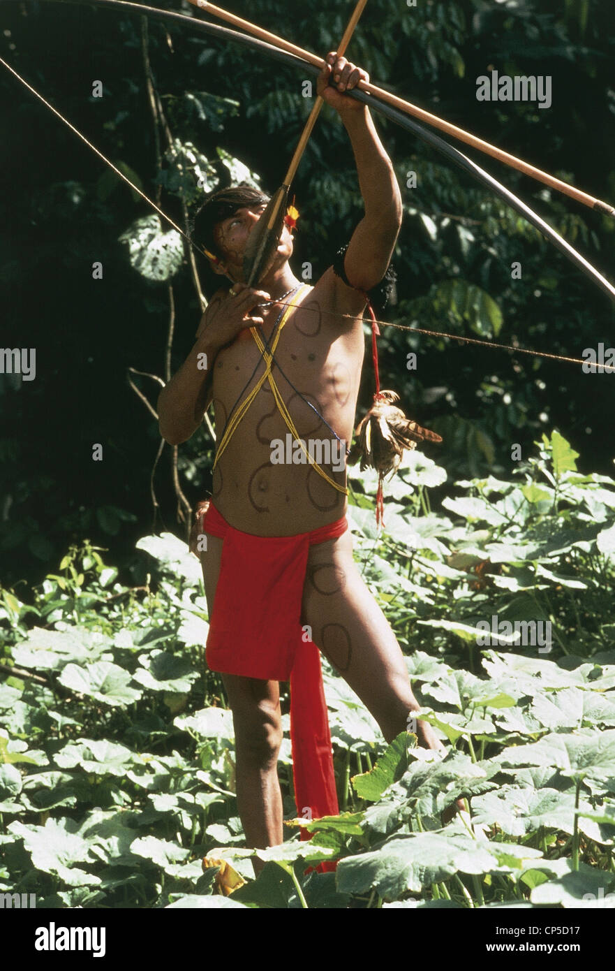Venezuela - Amazon. Indio-Yanomami Stamm Majecodotori Jagd im Wald mit Pfeil und Bogen. Stockfoto