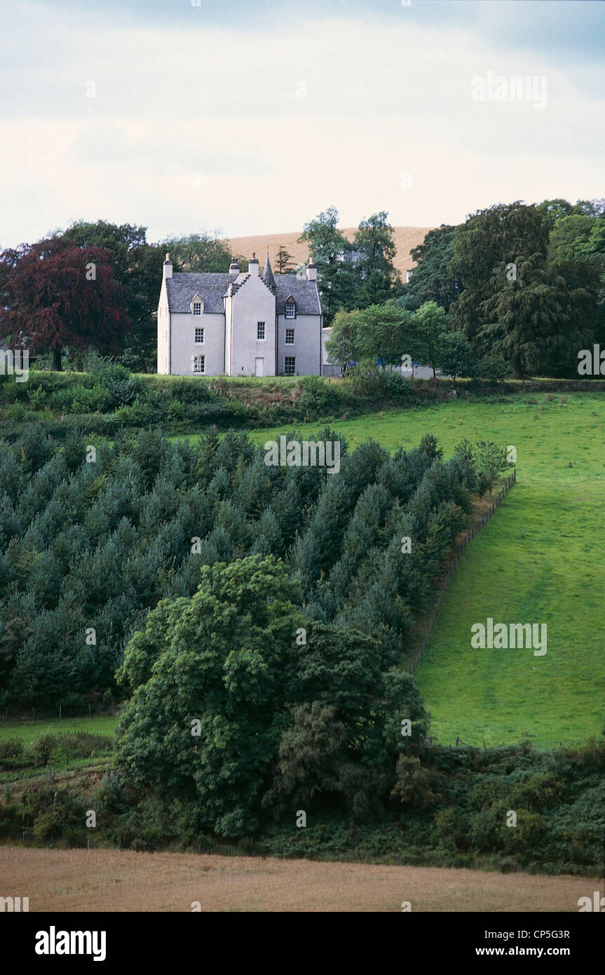 Großbritannien - Schottland - Craigellachie: Macallan Glenlivet Whiskeybrennerei, Pflanzen die alte Stockfoto