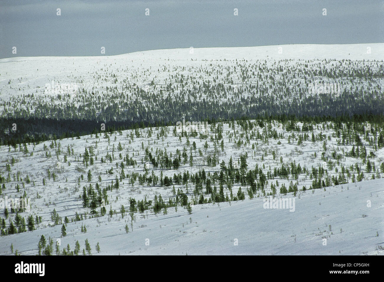 Finnland - Kaunispaa Landschaft. Stockfoto