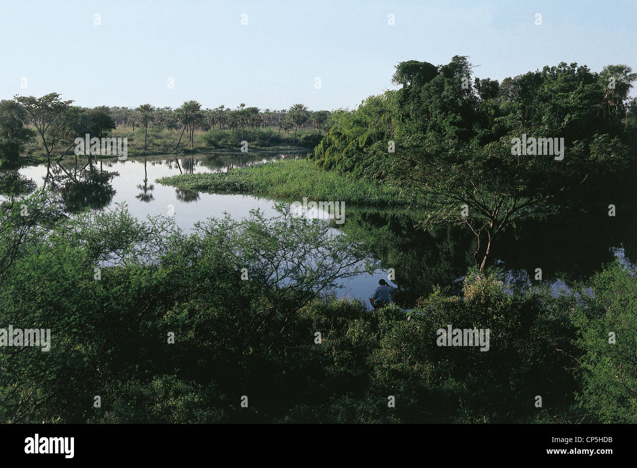 Paraguay Chaco Region Landschaft Stockfotografie Alamy