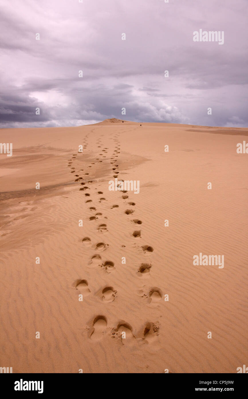Spuren der Fußspuren im Sand zum Gipfel der Düne von Pyla, Arcachon, Frankreich Stockfoto