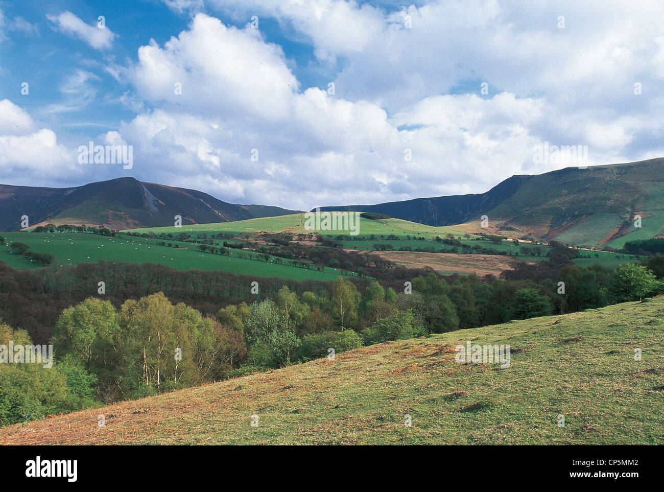 Großbritannien - Wales - Cambrian Mountains. Stockfoto