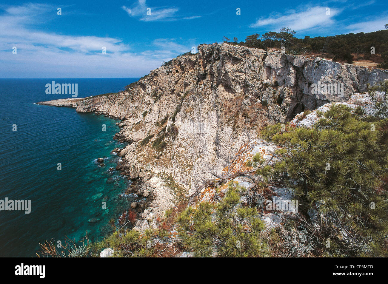 Puglia - Tremiti (Fg) - Insel San Domino, die Falken und Ripa Cala del Bue Marino. Stockfoto