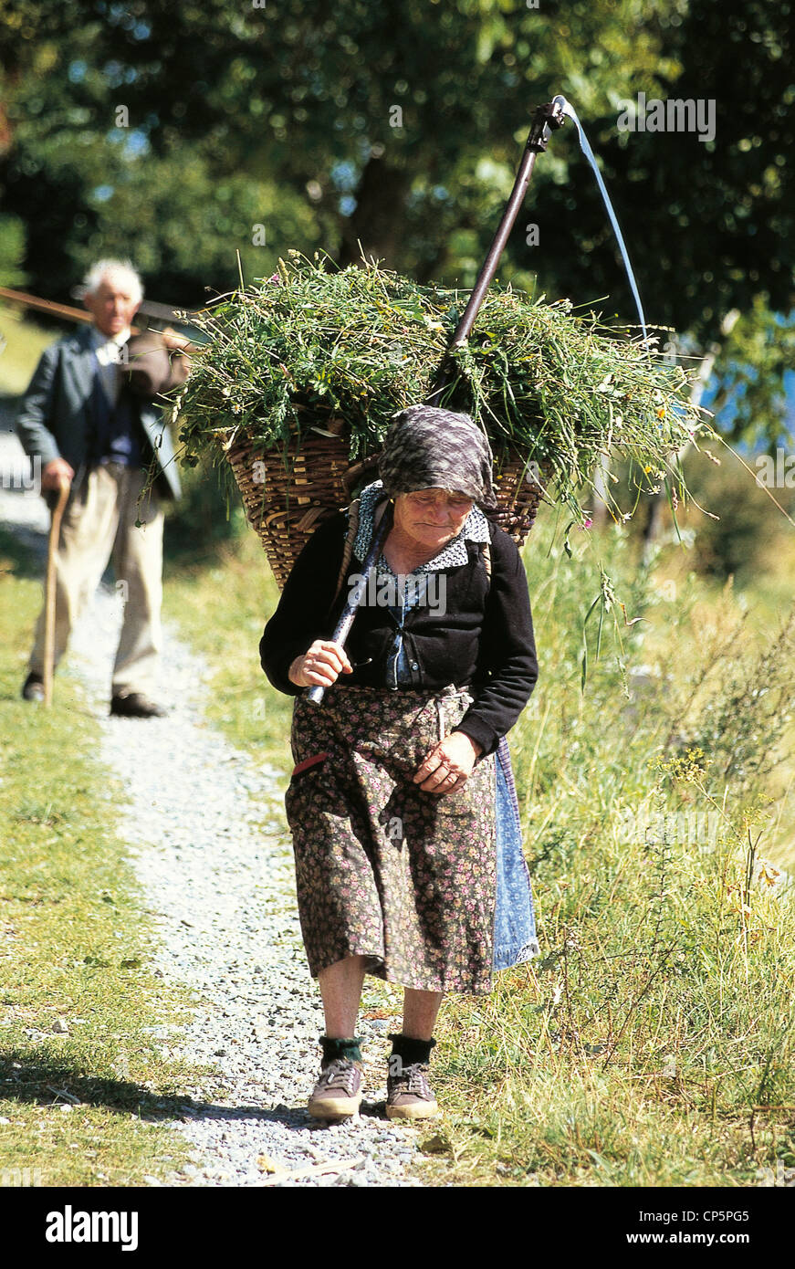 Trentino-Südtirol - Val Fundres (Bz). Bauer, Rasen in einen Korb zu tragen. Stockfoto