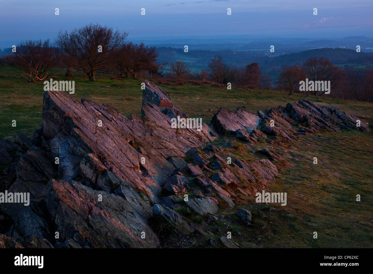 Vulkanische Felsformationen in Beacon Hill am frühen Morgen, einige der ältesten in England Stockfoto