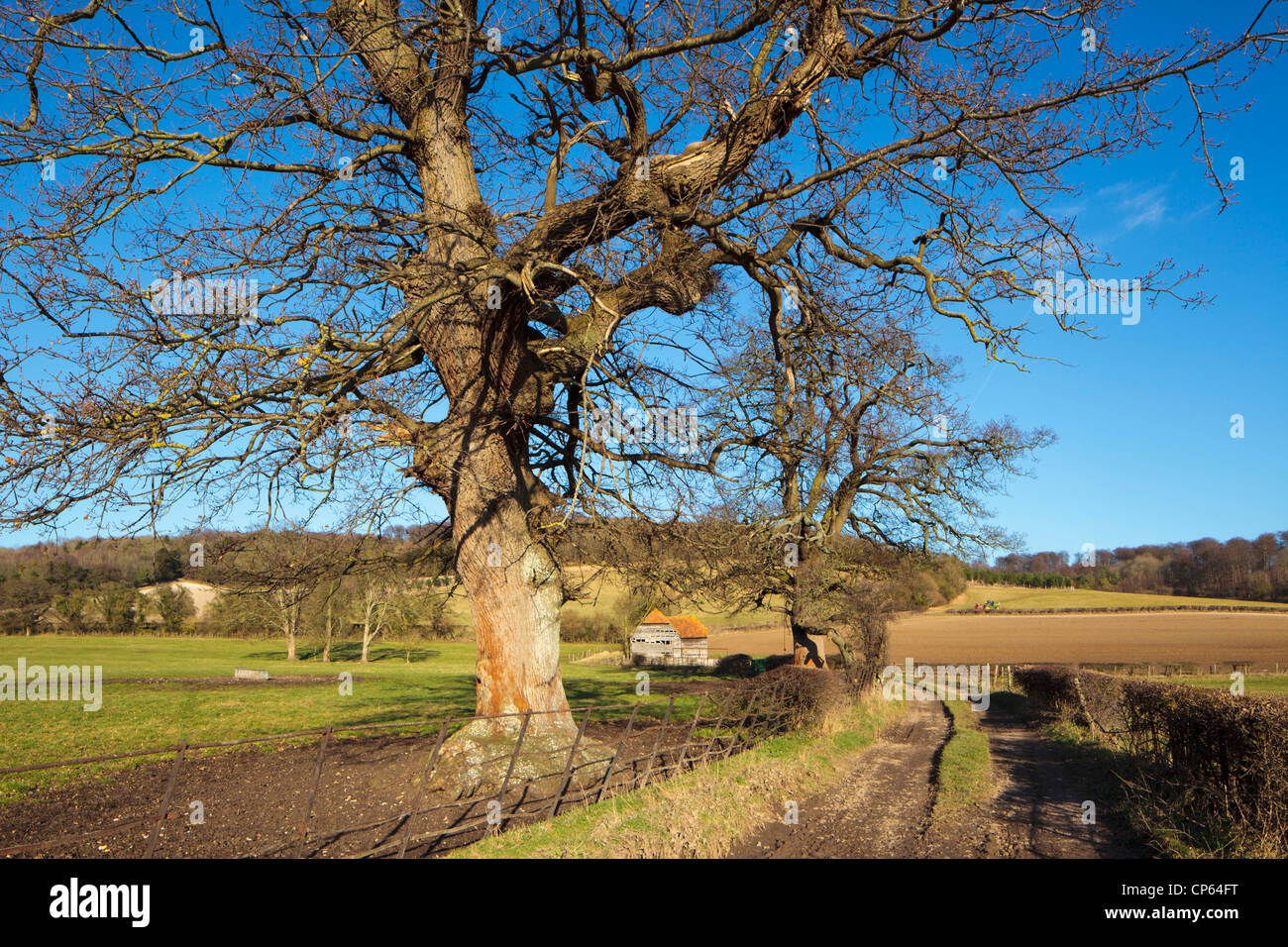 Alte Scheune im Hambleden Tal zwischen Marlow und Henley on Thames Chiltern Hills Buckinghamshire England UK Stockfoto