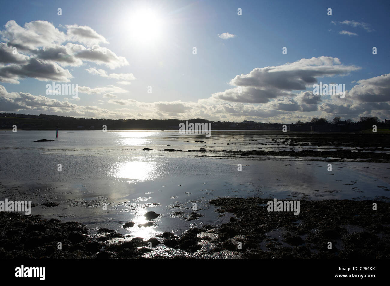 Der Fluss Tweed in Berwick nach Tweed, Grenzstadt zwischen England & Schottland Stockfoto