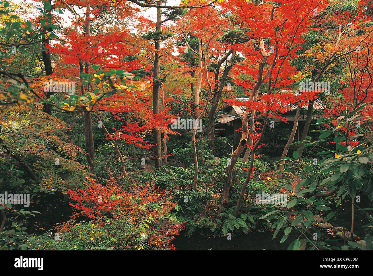 TOKYO JAPAN westlichen Stadtteil Minami-Aoyama Nezu Garten MUSEUM OF ART Stockfoto