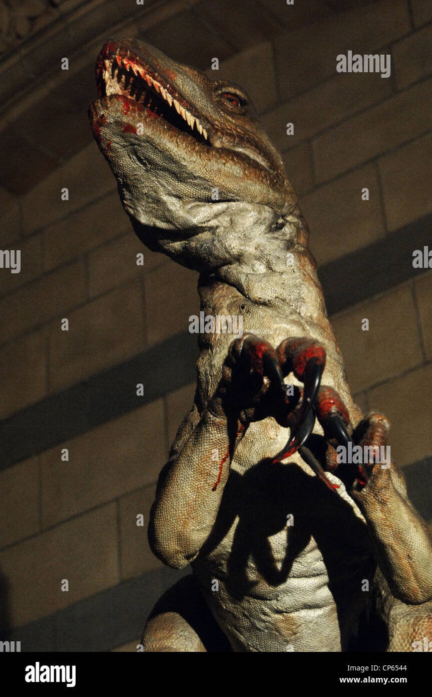 Reproduktion von einem Deinonychus (Deinonychus Antirrhopus). Untere Kreide. vor 119 Millionen Jahren. Stockfoto