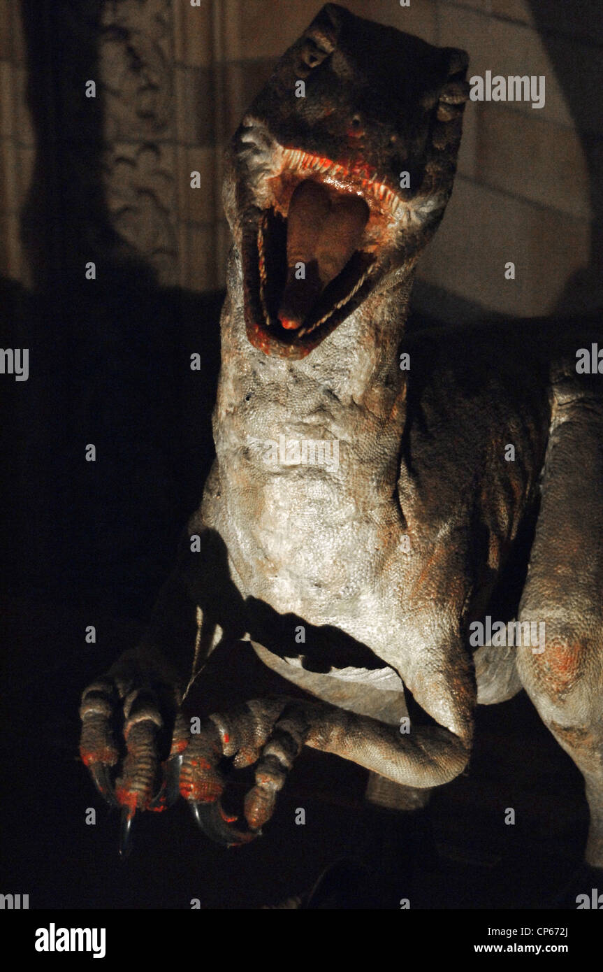 Reproduktion von einem Deinonychus (Deinonychus Antirrhopus). Untere Kreide. vor 119 Millionen Jahren. Stockfoto