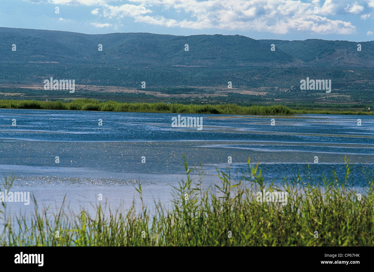 Puglia - Gargano National Park - See Natur Reserve Hvar. Stockfoto