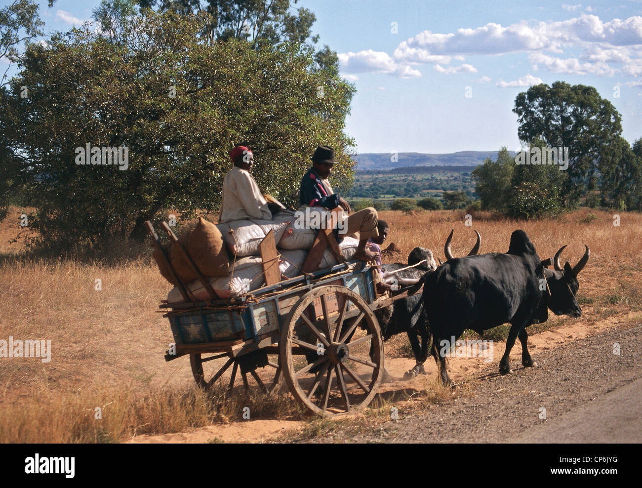 Madagaskar. Ochsenkarren auf dem Weg zwischen der Isalo Massivs und Toliara Stockfoto