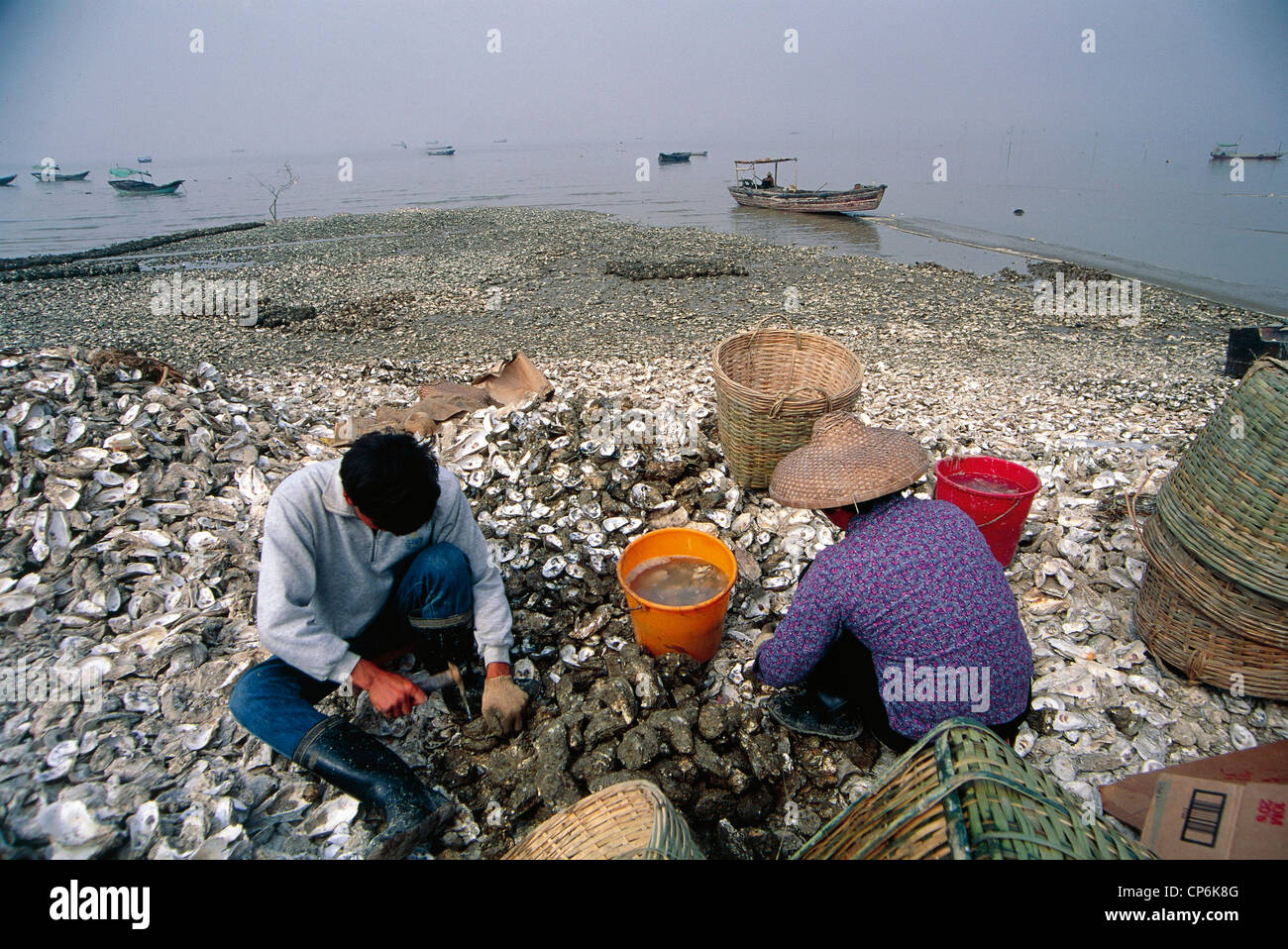 China - Hong Kong (Xianggang) - Neuland. Fischer in einer Austernfarm Stockfoto