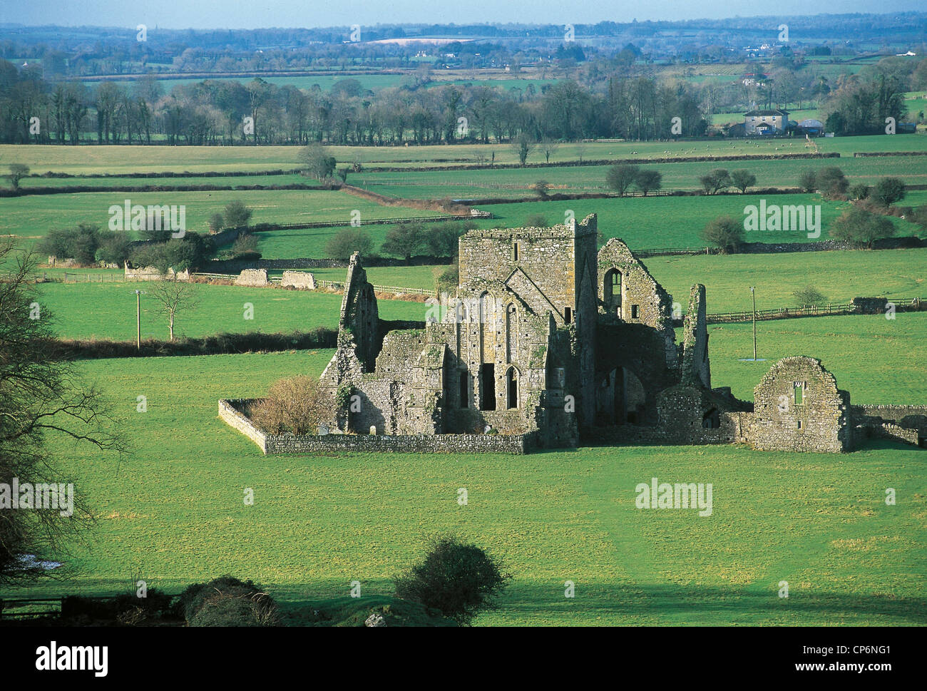 Irland County Tipperary Ruinen der Hore Zisterzienserabtei (auch bekannt als Hoare Abtei oder Heiliges Marys Abbey, 13. Jahrhundert. Stockfoto