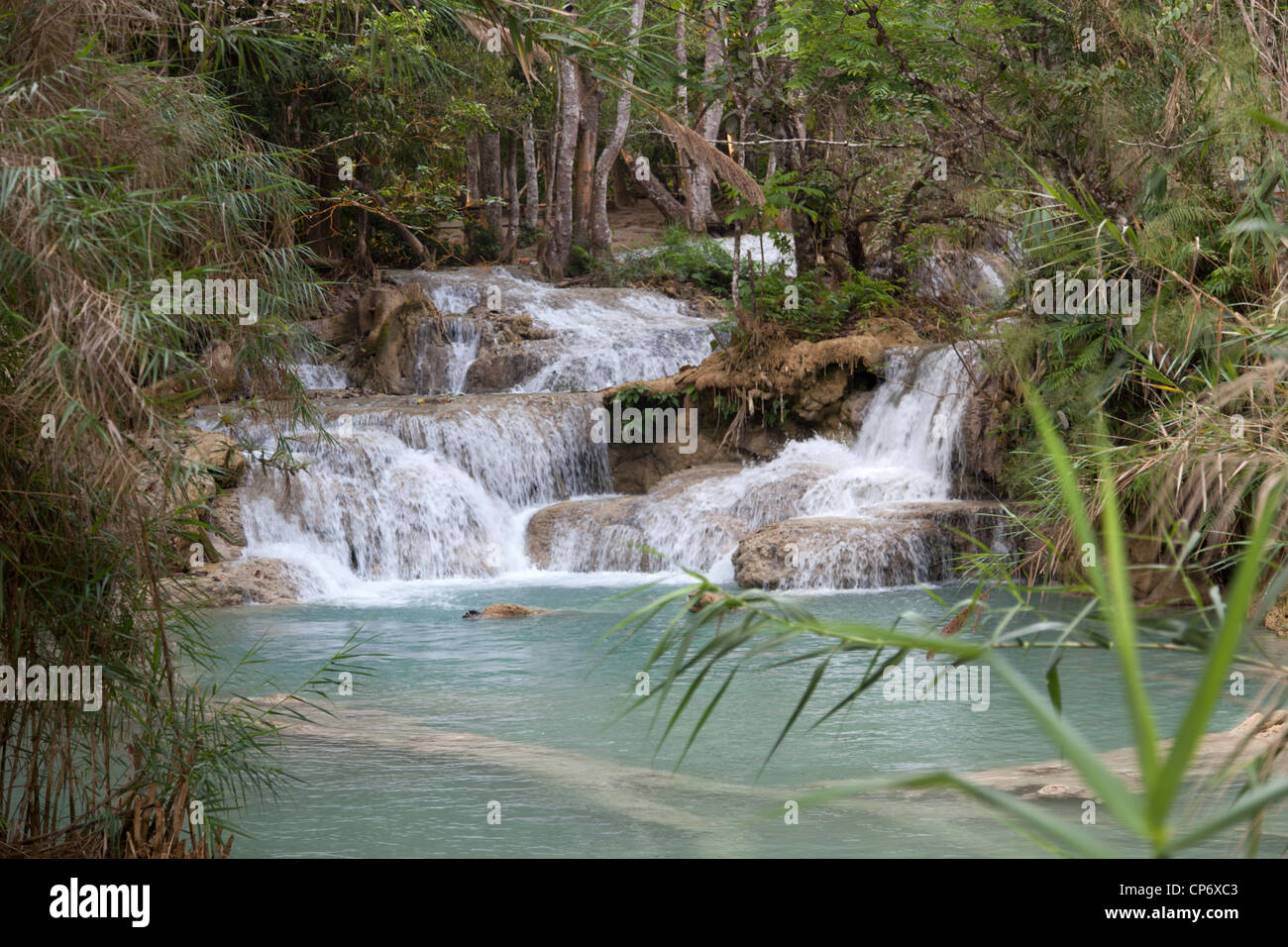 Mehrstufige Kuang Si Wasserfall im gleichnamigen Waldpark (Luang Prabang - Laos). La Cascade Multiniveaux Kuang Si (Laos). Stockfoto