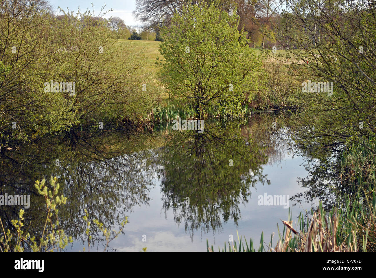Reflexionen in einem Fluss Stockfoto
