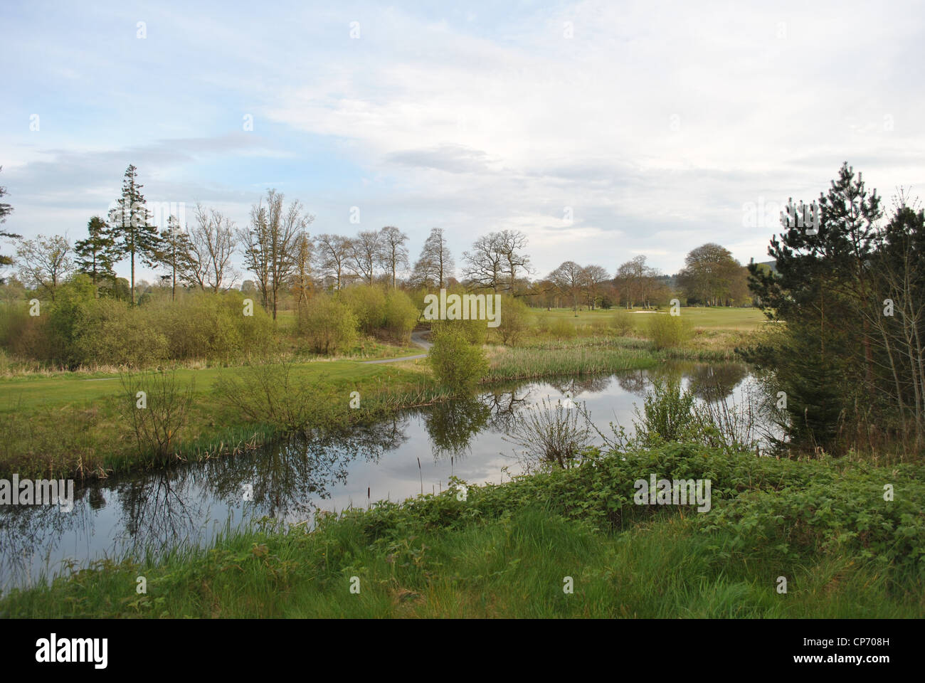 irische Landschaft Stockfoto