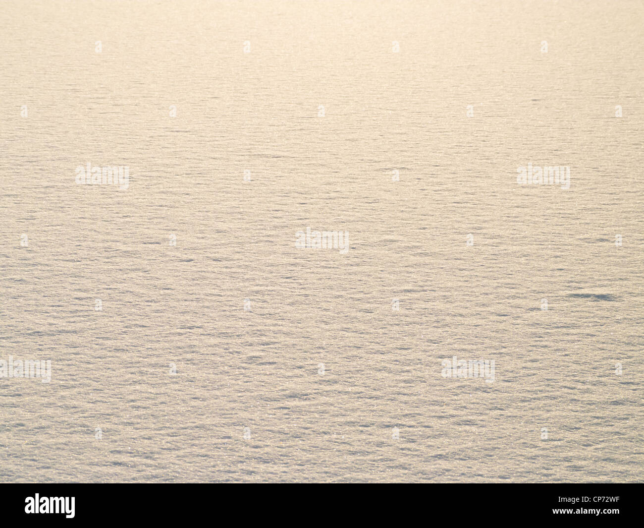 Sonnendurchflutetes Schnee Stockfoto