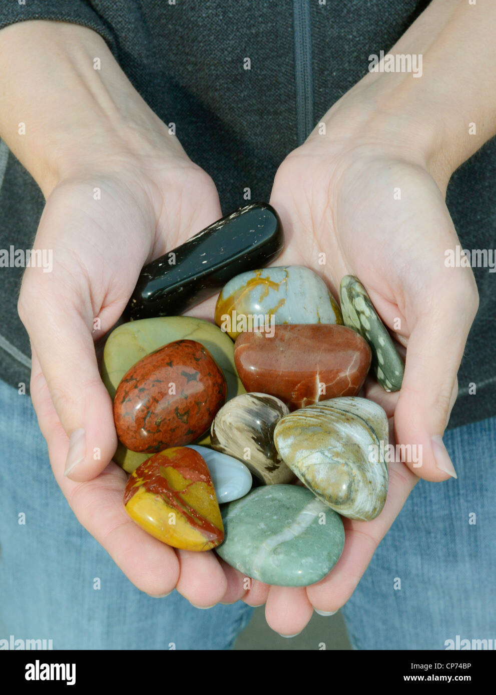 Kiesel auf Puget Sound Strände gefunden: Jaspis, Achat, versteinertes Holz, Washington State Stockfoto