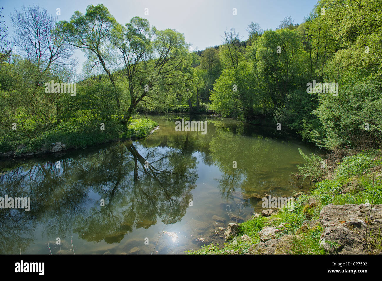 Die Biegung des Flusses Rems in Lorch mit einem Baum spiegeln sich darin Stockfoto