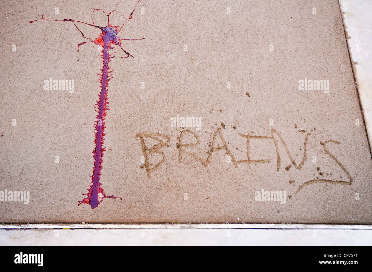 "Köpfe" und eine Spur von Kunstblut erscheinen auf nassen Beton. Ein Zombie-Crawl in New York City Teil. Stockfoto