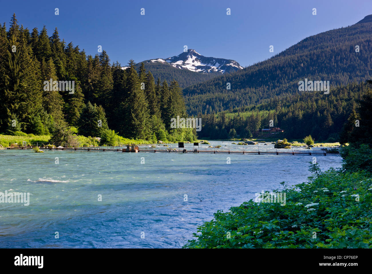 Herrliche Sicht auf die Chilkoot River in der Nähe von Lutak Outlet in der Nähe von Haines, Inside Passage, südöstlichen Alaska, Sommer Stockfoto