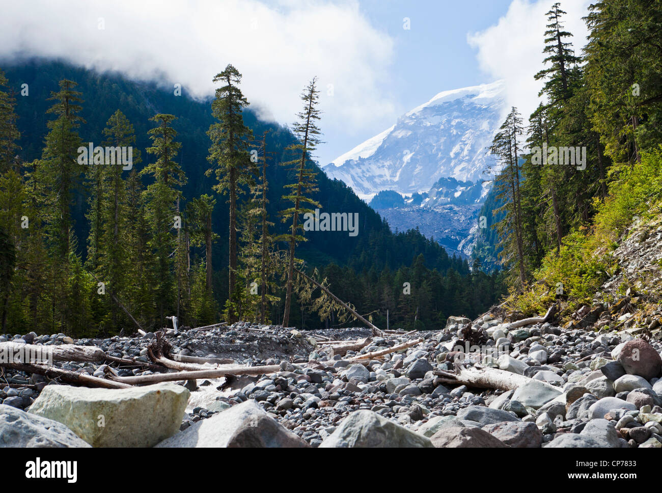 Der Carbon River Valley und Kohlenstoff Gletscher, Mount-Rainier-Nationalpark, Washington, USA. Stockfoto