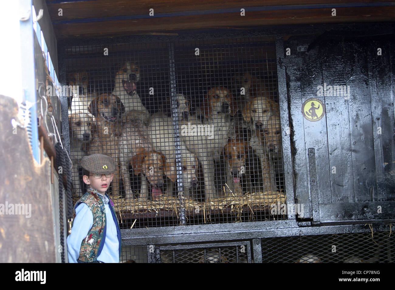 Junge mit Fuchs Jagdhunde am Heddington und Stockley Steam Rally. Stockfoto