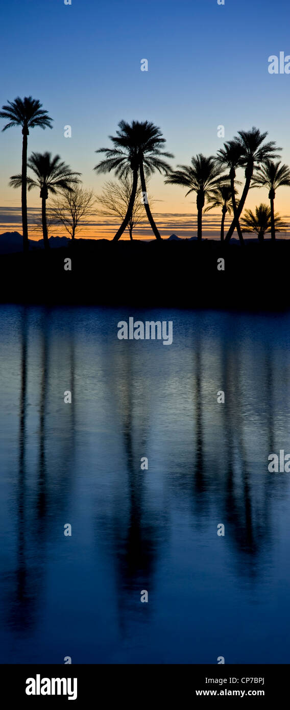 Palm Bäume Wasser Reflexionen Silhouetten bei Sonnenaufgang Stockfoto