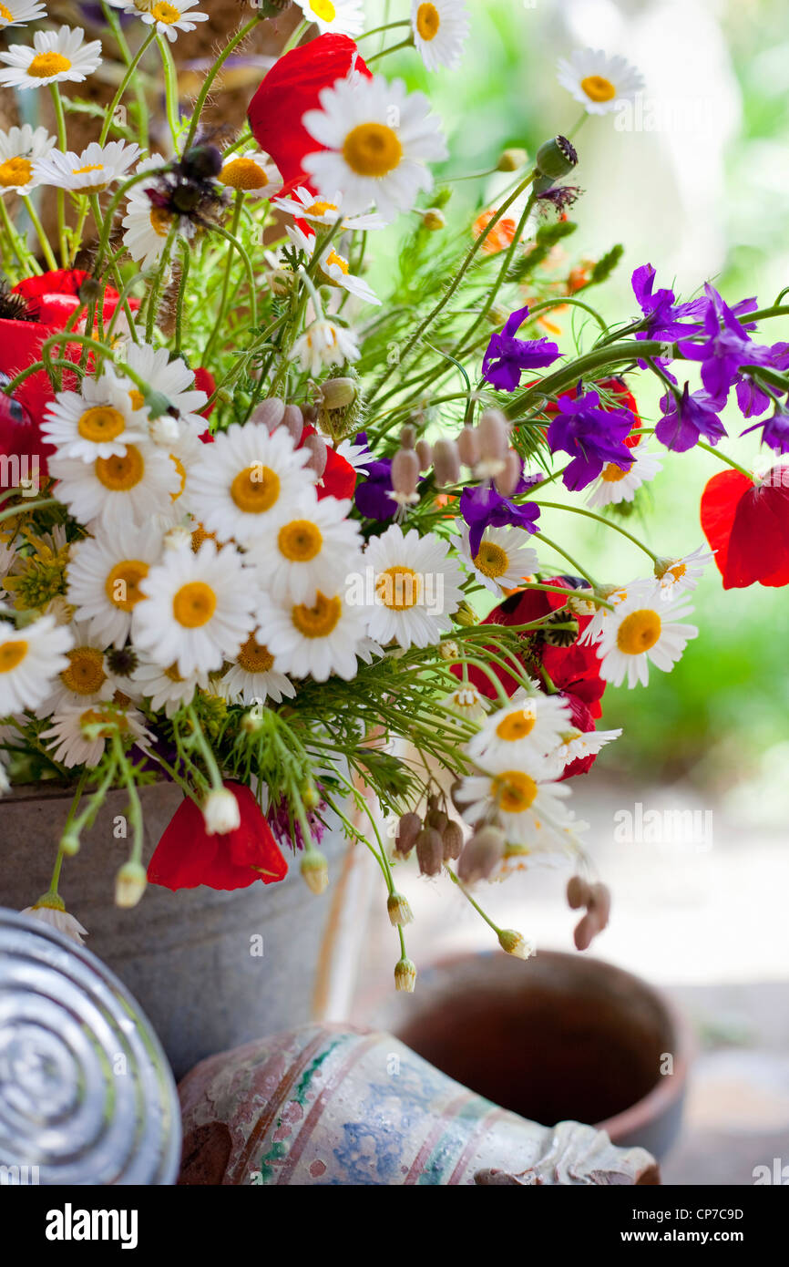 Behälter mit gemischten Blumenstrauß einschließlich Gänseblümchen, Argyranthemum Frutescens und roten Feld Mohn, Papaver Rhoeas. Stockfoto