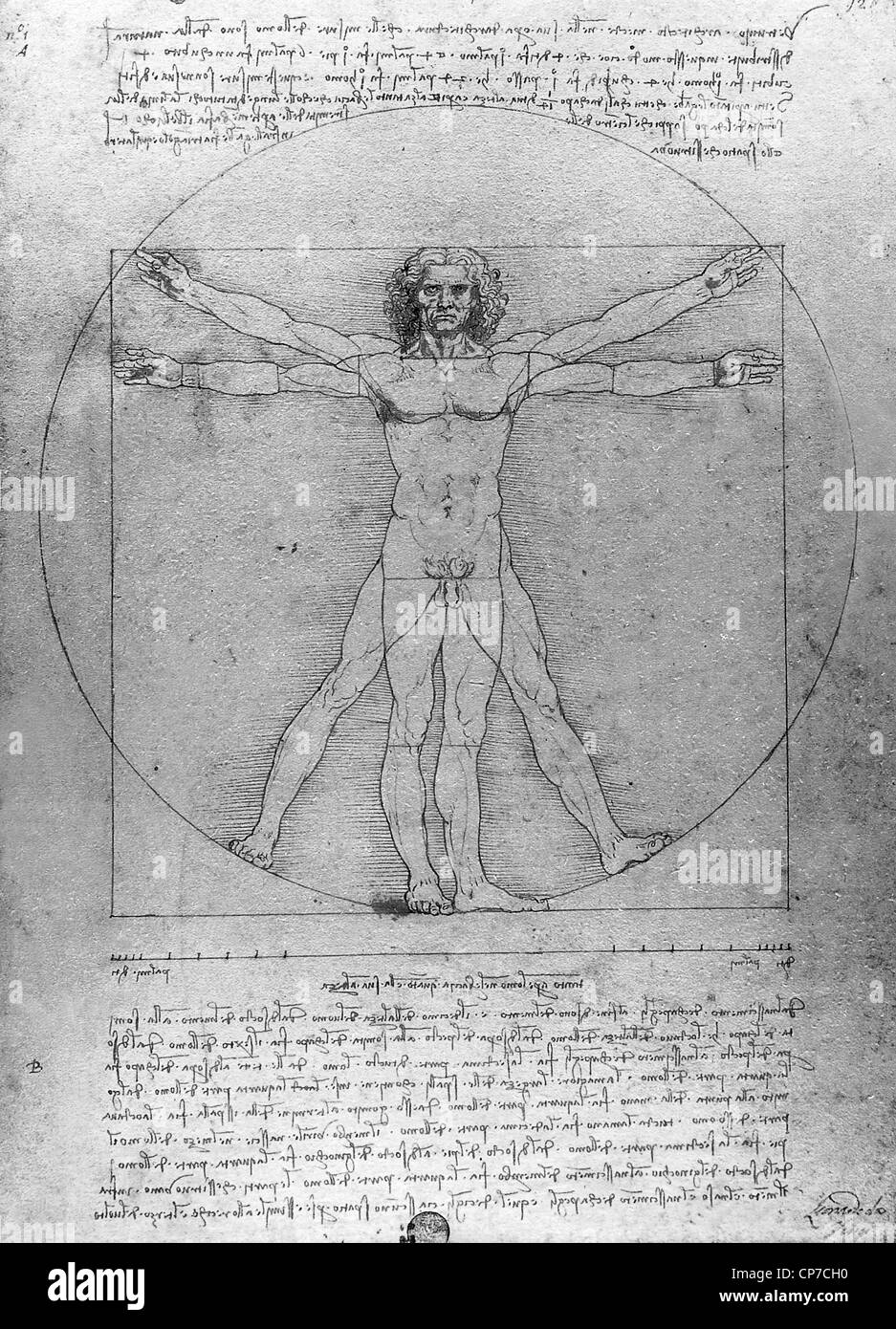 Der vitruvianische Mensch ist eine weltbekannte Zeichnung von Leonardo da Vinci ca. 1487 Stockfoto