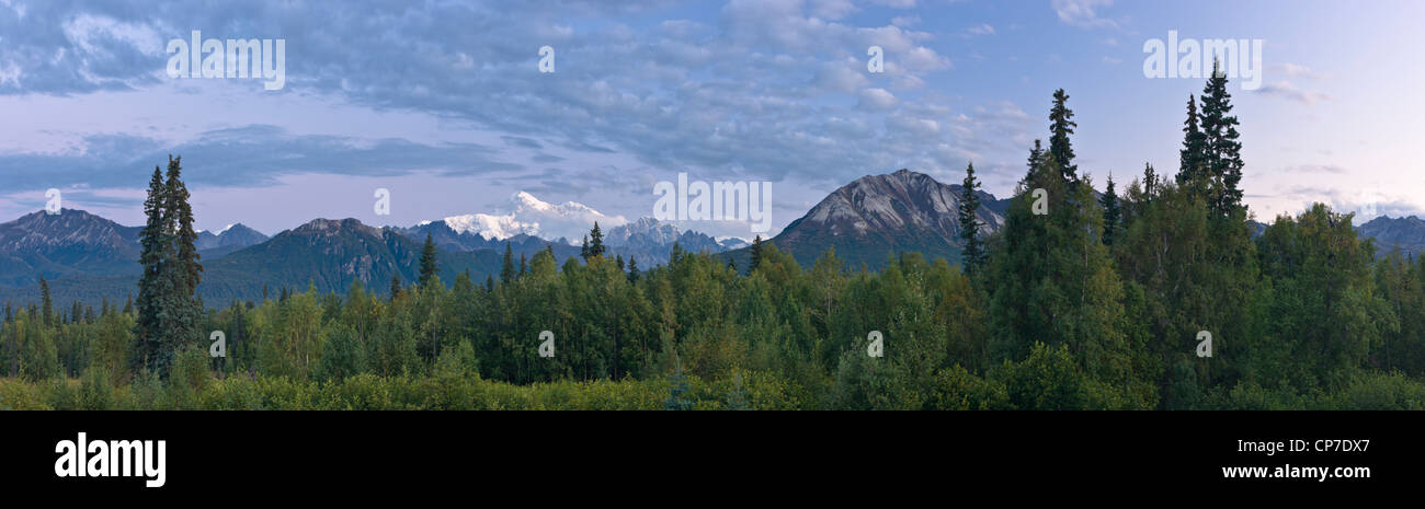 Morgendämmerung Licht am Mount McKinley, gesehen von den Veterans Memorial im Denali Nationalpark, Alaska, Sommer Stockfoto