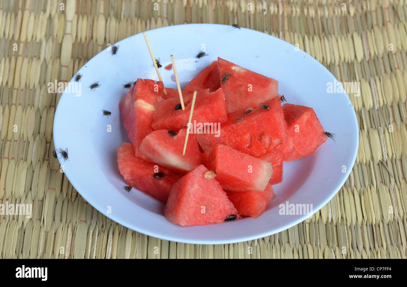 schlechtes Essen für Ihre Gesundheit, Stubenfliege auf Wassermelone Stockfoto