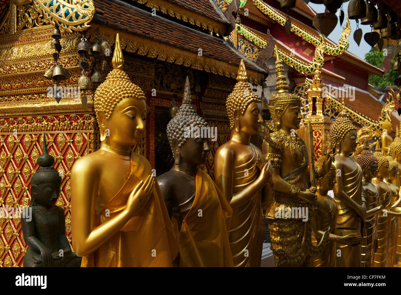 Wat Phra, die Doi Suthep, buddhistische Wallfahrt Website, Chiang Mai, Thailand Stockfoto