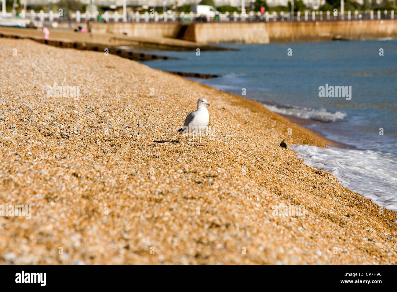 Strand, Dover, Kent, England, UK Stockfoto
