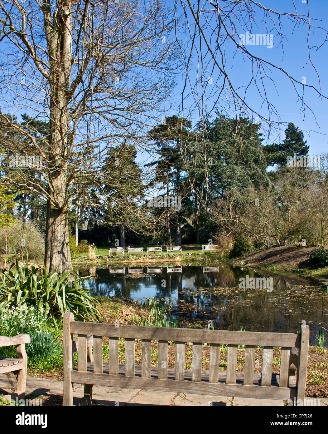 Hölzernen Sitze um einen kleinen See in Royal Botanic Gardens Kew London England Europa Stockfoto