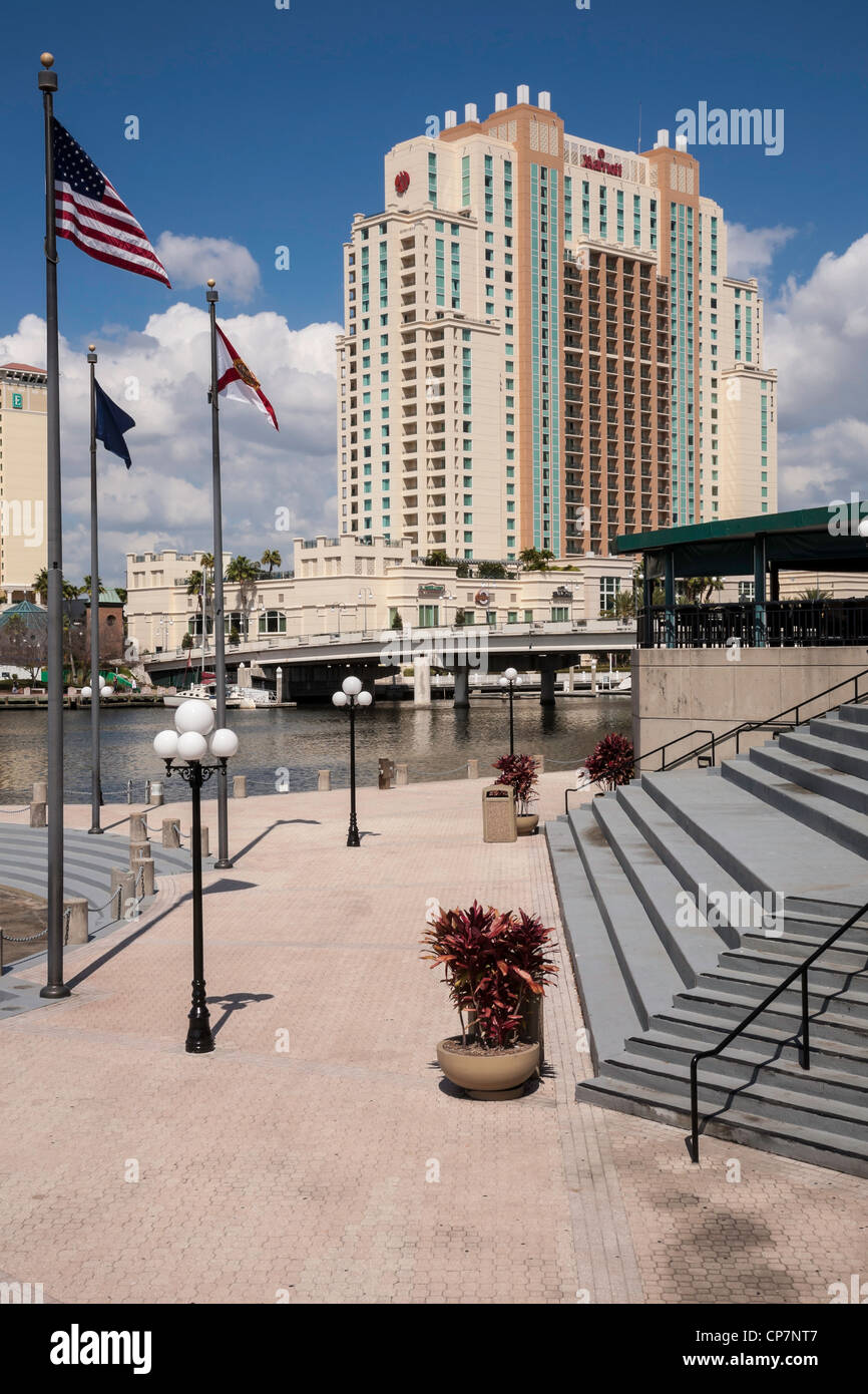 Die Skyline der Innenstadt von Harbour Island, Tampa, FL Stockfoto