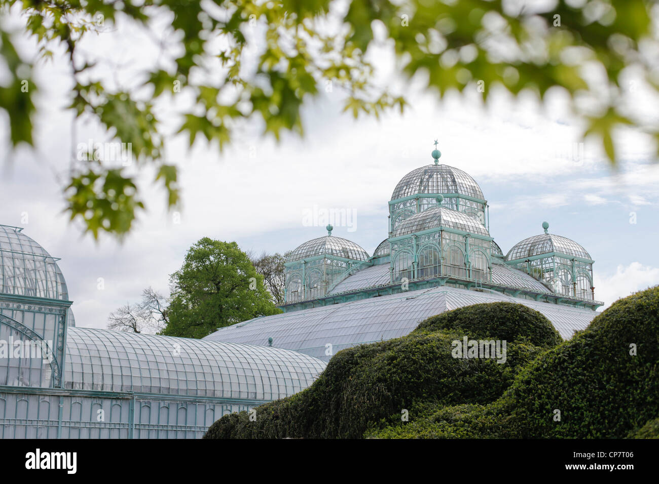 Königlichen Gewächshäuser in Laeken, Belgien Stockfoto