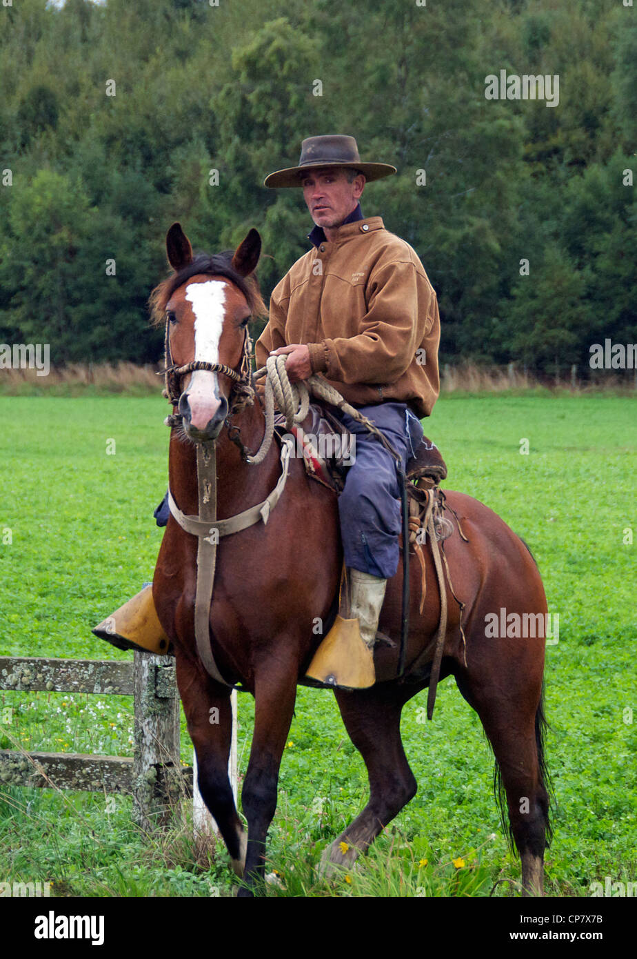 Gaucho auf Pferd Seenplatte Chile Stockfoto